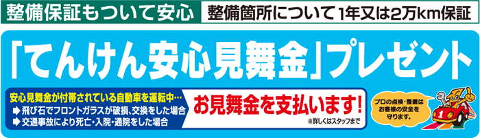 基本メンテナンス無料!